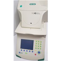 Item 156991009768